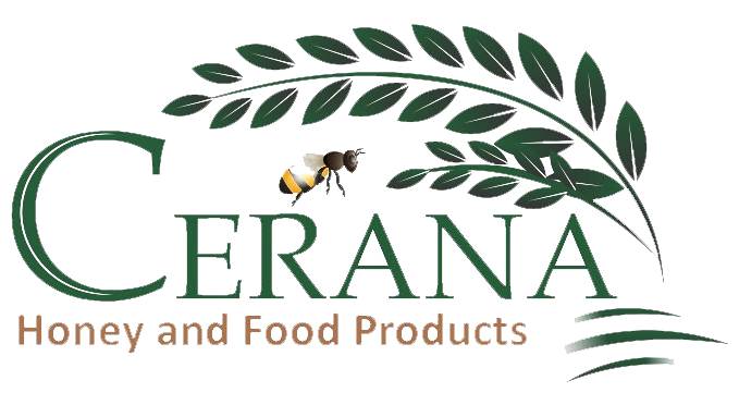 logo-image